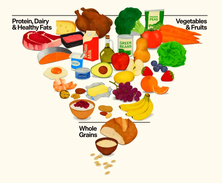 food pyramid